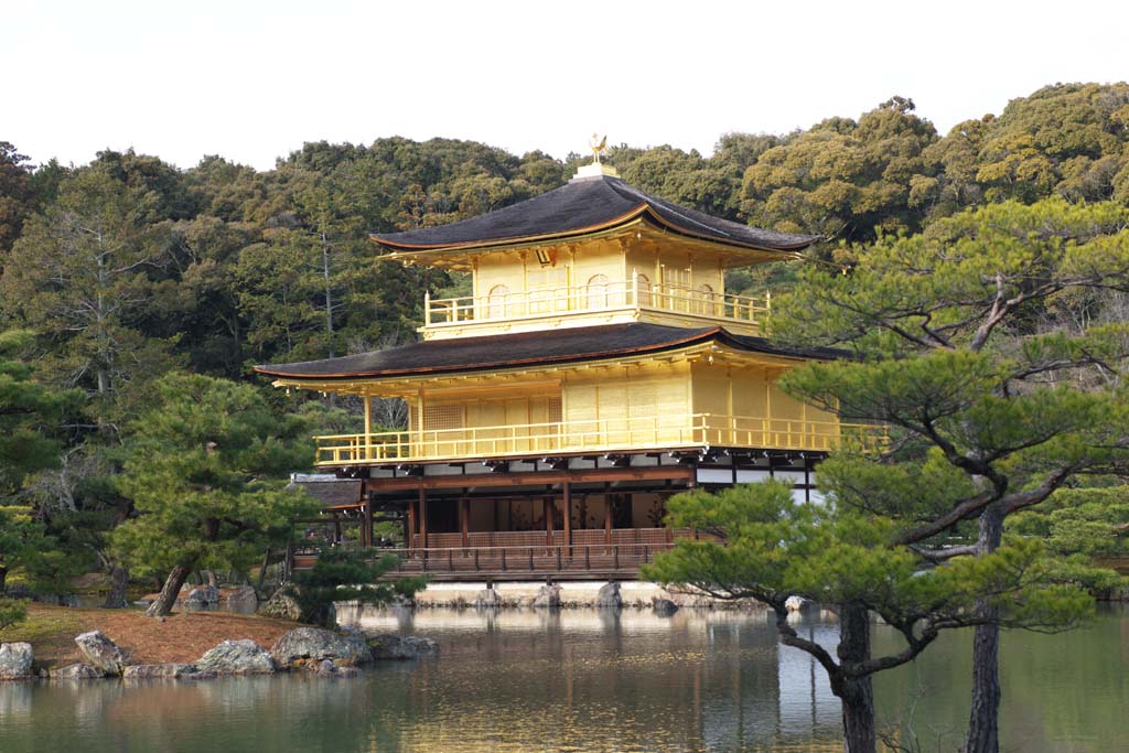 京都金閣寺 Kyoto Kinkakuji