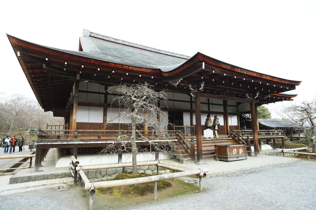 京都天龍寺 Kyoto Tenryuji