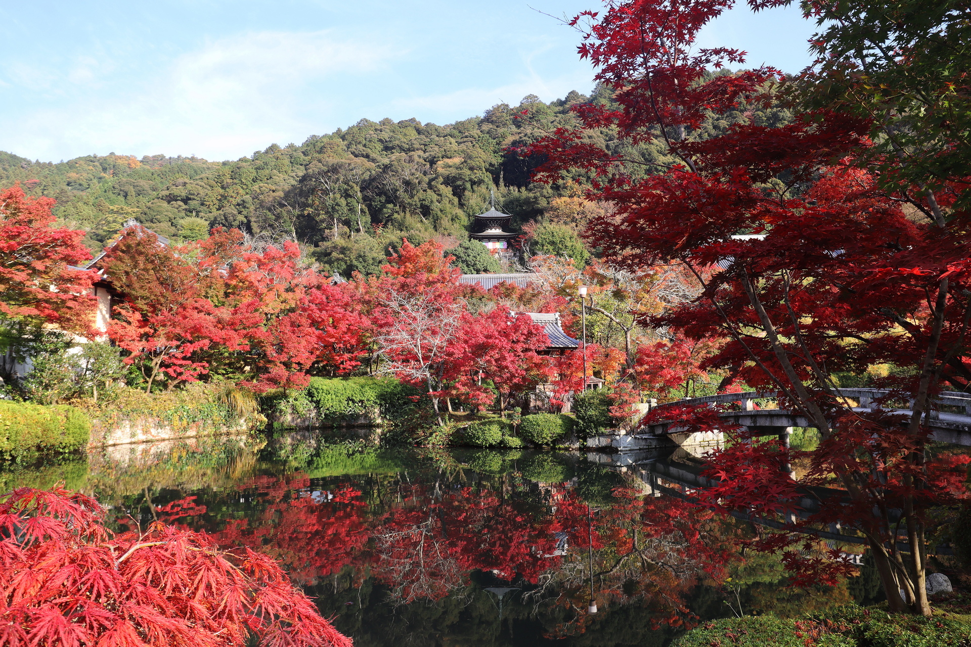 京都永観堂 Kyoto eikando